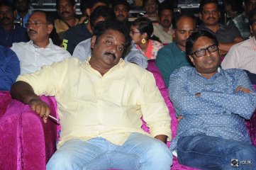 Hora Hori Movie Audio Launch